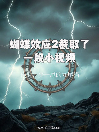 蝴蝶效应2截取了一段小视频