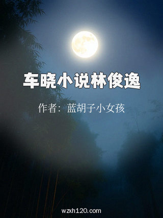 车晓小说林俊逸