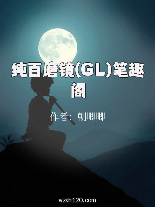 纯百磨镜(GL)笔趣阁