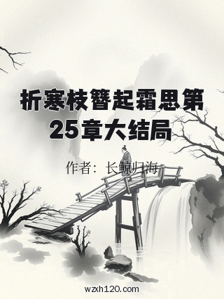 折寒枝簪起霜思第25章大结局