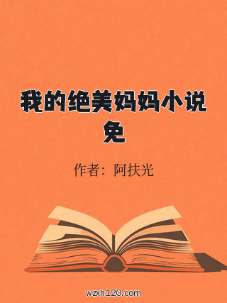 我的绝美妈妈小说免