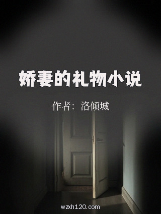 娇妻的礼物小说