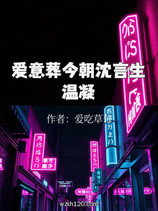 爱意葬今朝沈言生温凝