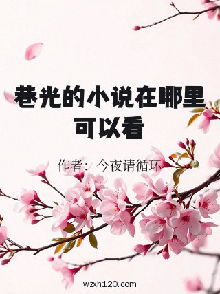 巷光的小说在哪里可以看