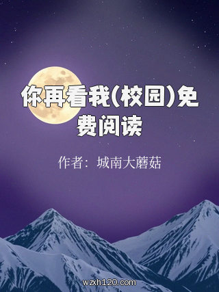 你再看我(校园)免费阅读