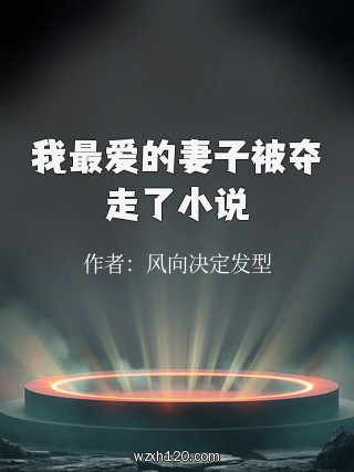 我最爱的妻子被夺走了小说