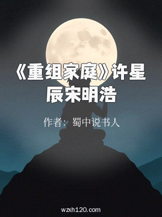 《重组家庭》许星辰宋明浩