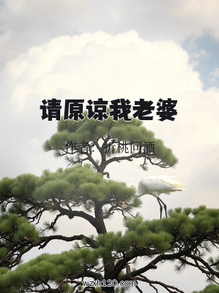 请原谅我老婆