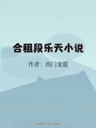 合租段乐天小说
