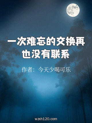 一次难忘的交换再也没有联系