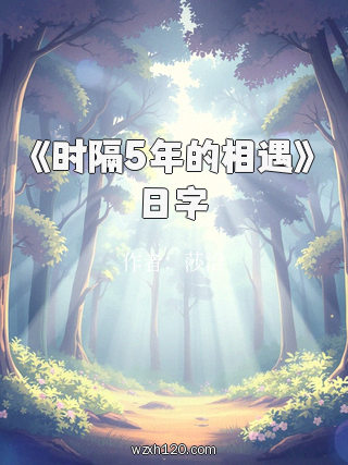 《时隔5年的相遇》日字