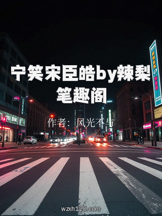 宁笑宋臣皓by辣梨笔趣阁