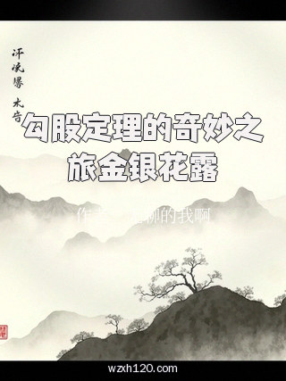 勾股定理的奇妙之旅金银花露