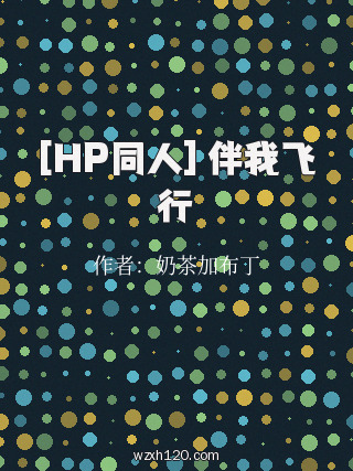 [HP同人] 伴我飞行