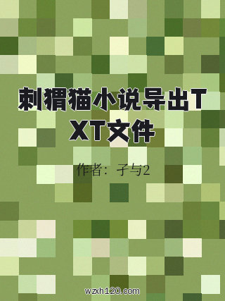 刺猬猫小说导出TXT文件