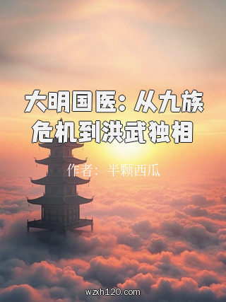 大明国医:从九族危机到洪武独相