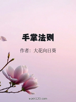手掌法则
