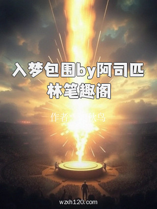 入梦包围by阿司匹林笔趣阁
