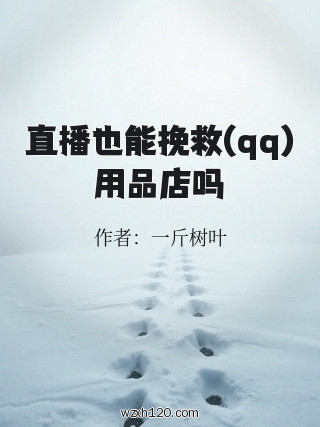 直播也能挽救(qq)用品店吗