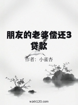 朋友的老婆偿还3贷款