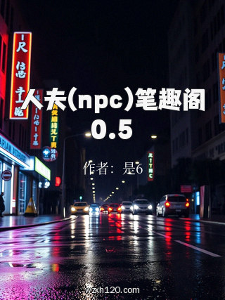 人夫(npc)笔趣阁0.5