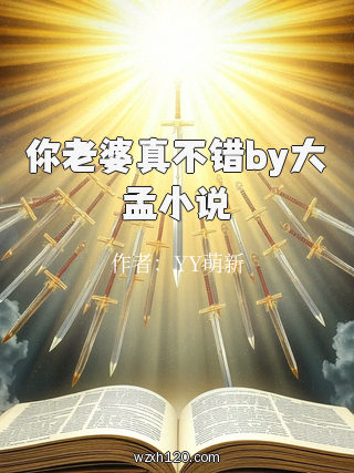 你老婆真不错by大孟小说