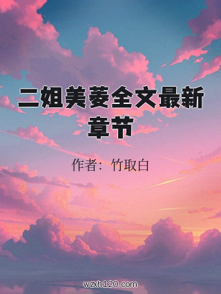 二姐美菱全文最新章节