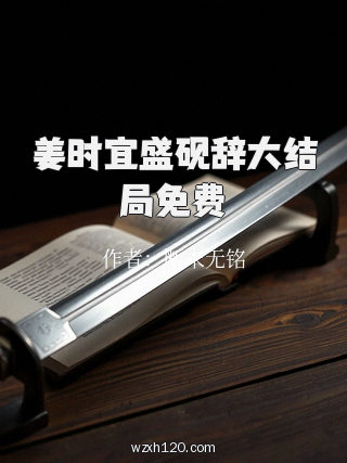 姜时宜盛砚辞大结局免费
