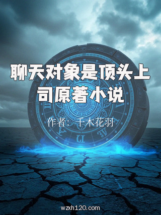 聊天对象是顶头上司原著小说