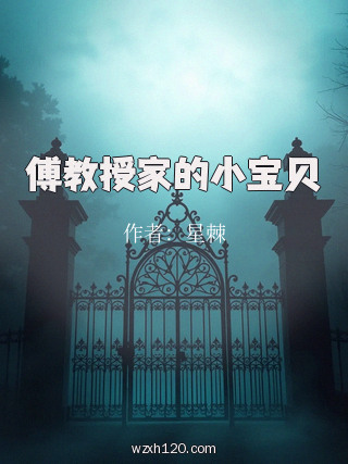 傅教授家的小宝贝