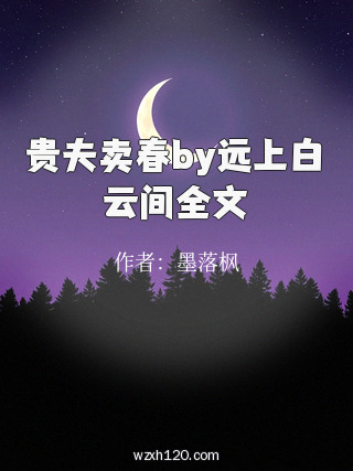 贵夫卖春by远上白云间全文