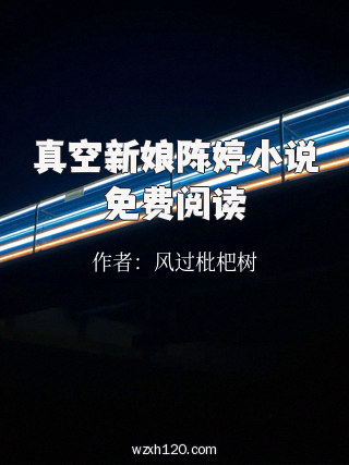 真空新娘陈婷小说免费阅读