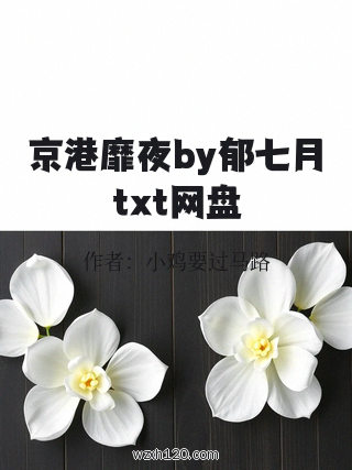 京港靡夜by郁七月txt网盘