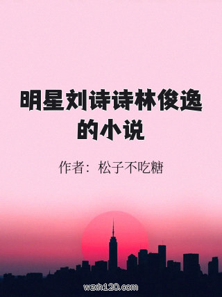 明星刘诗诗林俊逸的小说