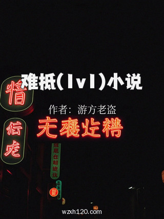 难抵(1v1)小说