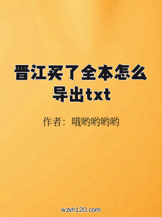 晋江买了全本怎么导出txt