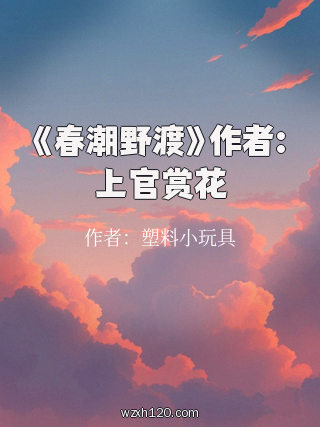 《春潮野渡》作者:上官赏花