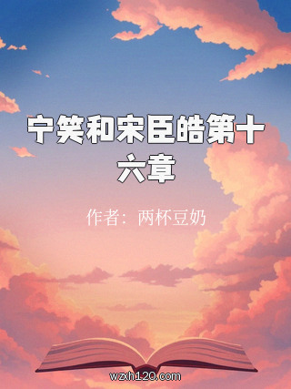 宁笑和宋臣皓第十六章