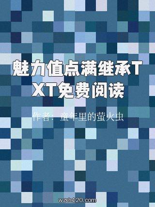 魅力值点满继承TXT免费阅读