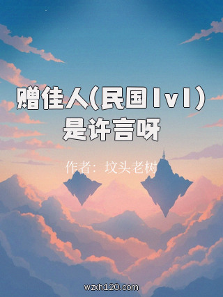 赠佳人(民国1v1)是许言呀