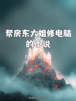 帮房东大姐修电脑的小说
