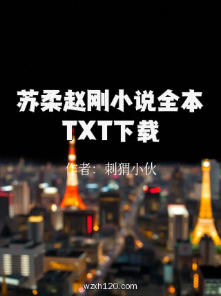 苏柔赵刚小说全本TXT下载