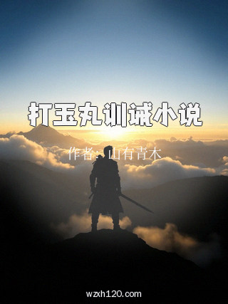 打玉丸训诫小说