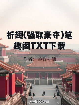 折翅(强取豪夺)笔趣阁TXT下载