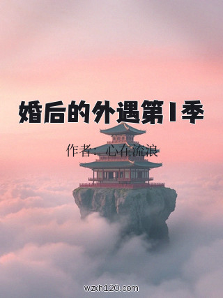 婚后的外遇第1季