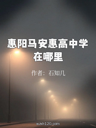 惠阳马安惠高中学在哪里
