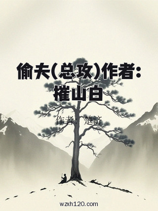偷夫(总攻)作者:摧山白