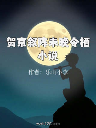 贺京叙陈未晚令栖小说