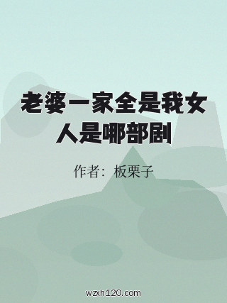 老婆一家全是我女人是哪部剧