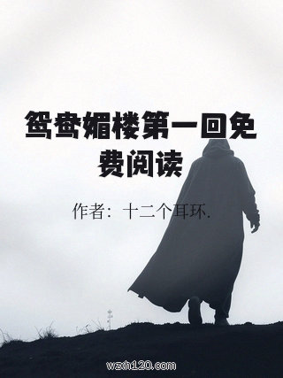 鸳鸯媚楼第一回免费阅读